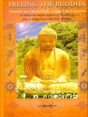 Freeing the Buddha: Diversity on a Sacred Path-Large Scale Concerns