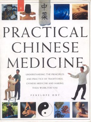 Practical Chinese Medicine: Understanding the Principles and Practice of Traditional